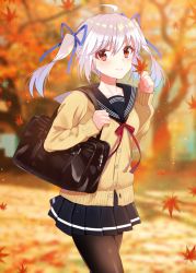 Rule 34 | 1girl, ahoge, autumn leaves, bag, black sailor collar, black skirt, blue ribbon, blurry, blurry background, blush, brown pantyhose, cardigan, closed mouth, collarbone, commentary request, day, depth of field, falling leaves, hair between eyes, hair ribbon, hands up, holding, holding leaf, leaf, long hair, long sleeves, maple leaf, minatoasu, neck ribbon, original, outdoors, pantyhose, pleated skirt, red eyes, red ribbon, ribbon, sailor collar, school bag, school uniform, serafuku, sidelocks, silver hair, skirt, sleeves past wrists, smile, solo, standing, tree, twintails, yellow cardigan