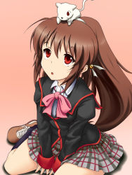 Rule 34 | 1girl, animal, animal on head, bow, brown hair, cat, cat on head, highres, lennon, little busters!, long hair, masha (ansatuka), natsume rin, pink bow, ponytail, red eyes, school uniform, sitting, wariza