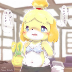 Rule 34 | 1girl, animal crossing, animal ears, animal hands, bell, blonde hair, blue bra, blue eyes, blush, blush stickers, book, bra, breasts, chair, cleavage, dog ears, dog tail, female focus, flower, flying sweatdrops, furry, furry female, furuya muku, green skirt, hair bell, hair ornament, hair tie, hands up, indoors, isabelle (animal crossing), jingle bell, navel, nervous, nintendo, open clothes, open mouth, open shirt, shirt, short hair, short sleeves, skirt, small breasts, solo, speech bubble, standing, sunflower, tail, talking, text focus, translation request, underwear, undressing, white shirt, yellow flower
