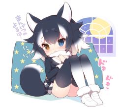 Rule 34 | 10s, 1girl, animal ears, bad id, bad twitter id, black hair, blue eyes, blush, chibi, full moon, fur trim, grey wolf (kemono friends), hand on own chest, heterochromia, kemono friends, long hair, moon, multicolored hair, pillow, pleated skirt, sitting, skirt, solo, tail, thighhighs, translation request, two-tone hair, watanon (gakushokutei), white background, white hair, window, wolf ears, wolf tail, yellow eyes