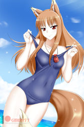 Rule 34 | 1girl, animal ears, blue one-piece swimsuit, blue sky, breasts, brown hair, cloud, collarbone, covered navel, cowboy shot, day, dutch angle, floating hair, highres, holo, jewelry, kimmy77, long hair, looking at viewer, necklace, ocean, one-piece swimsuit, outdoors, pouch, red eyes, school swimsuit, sky, small breasts, smile, solo, sparkle, spice and wolf, standing, swimsuit, tail, watermark, wolf ears, wolf girl, wolf tail