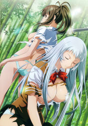 Rule 34 | 00s, 2girls, absurdres, ass, ass cutout, bamboo, bamboo forest, breasts, brown hair, butt crack, chouun shiryuu, cleavage, clothing cutout, closed eyes, forest, green panties, hair over breasts, hair over one breast, highres, ikkitousen, katana, large breasts, long hair, multiple girls, nature, official art, panties, rin-sin, school uniform, silver hair, skirt, sword, torn clothes, underwear, weapon, yagyu mitsuyoshi