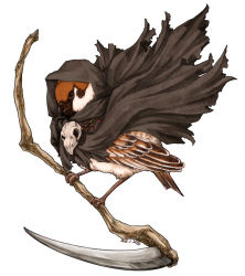 Rule 34 | bird, cloak, dated, death (entity), eurasian tree sparrow, evergreen (wannianqing), no humans, omoto, original, scythe, simple background, skull, solo, sparrow, white background