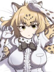 Rule 34 | 1girl, animal ears, arms up, black bow, black bowtie, bow, bowtie, breast pocket, breasts, brown eyes, elbow gloves, gloves, gradient hair, highres, jaguar (kemono friends), jaguar ears, jaguar girl, jaguar print, jaguar tail, kemono friends, kimurayou103, large breasts, looking at viewer, lying, multicolored hair, on back, orange hair, pocket, short sleeves, solo, tail, white gloves, white hair