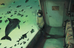Rule 34 | 1girl, aquarium, black hair, boots, commentary, dolphin, door, fish, hands in pockets, indoors, jacket, kensight328, original, reflection, scarf, short hair, shorts, sign, solo, warning sign