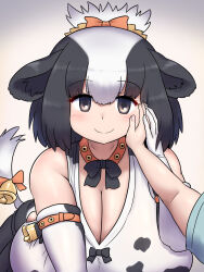 1girl animal_ears animal_print bell black_hair blush bow bowtie breasts cleavage cow_ears cow_girl cow_print cow_tail elbow_gloves gloves hand_on_another&#039;s_cheek hand_on_another&#039;s_face highres holstein_friesian_cattle_(kemono_friends) huge_breasts kemono_friends looking_at_viewer mo23 multicolored_hair open_mouth pov print_gloves print_shirt shirt short_hair smile solo tail tail_bell tail_bow tail_ornament two-tone_hair white_hair