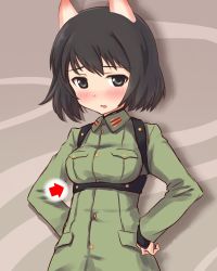 Rule 34 | 1girl, a9b (louis814), animal ears, arrow (symbol), black eyes, black hair, blush, dog ears, hands on own hips, highres, katou takeko, military, military uniform, open mouth, short hair, solo, strike witches, strike witches zero, uniform, world witches series
