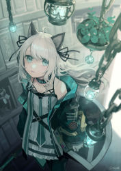 Rule 34 | 1girl, absurdres, animal ears, arknights, black jacket, black pantyhose, blue eyes, book, bookshelf, cat ears, chain, commentary request, dress, feet out of frame, from above, highres, holding, holding book, indoors, jacket, long hair, long sleeves, looking at viewer, looking up, miike (992058), mint (arknights), off shoulder, open clothes, open jacket, pantyhose, parted lips, puffy long sleeves, puffy sleeves, sleeves past wrists, solo, standing, twitter username, very long hair, white dress, white hair