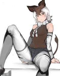 Rule 34 | 1girl, animal ears, animal print, arm support, blush, bow, bowtie, brown eyes, brown hair, brown shirt, crotch seam, denim, denim shorts, detached sleeves, hair between eyes, hand on own thigh, highres, kemono friends, knee up, looking at viewer, medium hair, micro shorts, multicolored hair, necktie, okapi (kemono friends), okapi ears, okapi tail, pantyhose, pantyhose under shorts, parted bangs, parted lips, print neckwear, print pantyhose, print sleeves, shibori kasu, shirt, shorts, sitting, sketch, sleeveless, sleeveless shirt, solo, spread legs, striped clothes, striped neckwear, striped pantyhose, striped sleeves, tail, two-tone hair, white bow, white hair