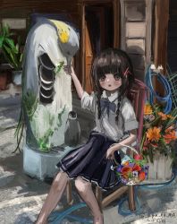 Rule 34 | 1girl, absurdres, basket, bird, black hair, blue bow, blue bowtie, blush, bow, bowtie, braid, chair, collared shirt, female focus, flower, flower basket, hair ornament, highres, holding, holding basket, hose, looking at viewer, open mouth, original, outdoors, penguin, plant, pleated skirt, potted plant, shiranome, shirt, signature, sitting, skirt, solo, statue, twin braids, twitter username, white shirt