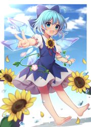 Rule 34 | 1girl, absurdres, ahoge, arms up, barefoot, blue bow, blue dress, blue eyes, blue hair, blue sky, blurry, border, bow, cirno, cloud, cloudy sky, collared shirt, dress, eyes visible through hair, flower, flying, hair between eyes, hands up, highres, ice, ice wings, leaf, looking at viewer, open mouth, outside border, petals, pink flower, puffy short sleeves, puffy sleeves, ruhika, shirt, short sleeves, sky, smile, solo, sunflower, tan, tanned cirno, touhou, v, white border, white shirt, wings, yellow flower