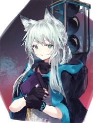Rule 34 | 1girl, animal ears, arknights, book, hugging book, cat ears, cat girl, cloak, closed mouth, fingerless gloves, gloves, green eyes, highres, holding, holding book, hood, hood down, hooded cloak, infection monitor (arknights), long hair, makihitsuji, hugging object, rosmontis (arknights), silver hair, solo