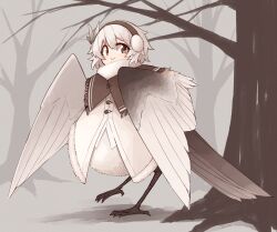 Rule 34 | 1girl, bare tree, bird legs, bird tail, black eyes, blush, brown feathers, closed mouth, earmuffs, feather hair ornament, feathers, hair between eyes, hair ornament, harpy, highres, kaginoni, monster girl, original, short hair, smile, solo, tail, tree, white feathers, white hair, white wings, winged arms, wings