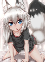 Rule 34 | 1girl, animal ear fluff, animal ears, bare legs, barefoot, bed, bed sheet, black shirt, blue eyes, chestnut mouth, collarbone, commentary, fang, fox ears, fox tail, highres, horokusa (korai), long hair, no pants, on bed, original, pov, see-through silhouette, shirt, short sleeves, silver hair, straddling, tail