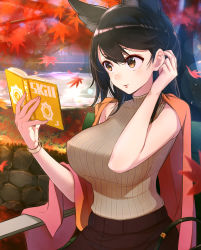 Rule 34 | 1girl, alternate costume, atago (azur lane), autumn leaves, azur lane, black hair, book, breasts, brown eyes, casual, covered erect nipples, day, tucking hair, highres, holding, holding book, large breasts, leaf, maple leaf, mappaninatta, md5 mismatch, mole, mole under eye, open book, outdoors, reading, resolution mismatch, revision, ribbed sweater, sleeveless, solo, source larger, sweater, swept bangs, turtleneck, turtleneck sweater