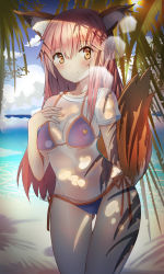 Rule 34 | 10s, 1girl, animal ears, arm behind back, beach, bikini, blush, breasts, cleavage, cloud, cloudy sky, day, fate/extella, fate/extra, fate/grand order, fate (series), fox ears, gluteal fold, hand on own chest, highres, lens flare, long hair, looking at viewer, looking away, medium breasts, miamuly, palm tree, pink hair, purple bikini, see-through, shirt, sidelocks, sky, smile, solo, standing, swimsuit, tail, tamamo (fate), tamamo no mae (fate/extra), tamamo no mae (swimsuit lancer) (fate), thigh gap, tree, white shirt, yellow eyes