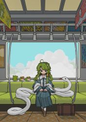 Rule 34 | ahoge, animal, bare shoulders, blue skirt, brown footwear, closed mouth, cloud, collared shirt, day, detached sleeves, frog, frog hair ornament, green hair, hair ornament, hairband, highres, kochiya sanae, light smile, long sleeves, looking at viewer, neruzou, pleated skirt, shirt, shoes, sitting, skirt, sleeveless, sleeveless shirt, snake, snake hair ornament, straight-on, suitcase, textless version, touhou, train interior, white shirt, wide shot, wide sleeves
