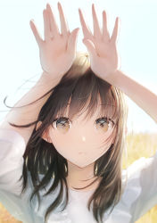 Rule 34 | 1girl, arms up, blurry, blurry background, brown eyes, brown hair, commentary, hands up, highres, looking at viewer, medium hair, ojay tkym, original, shirt, signature, solo, symbol-only commentary, white shirt