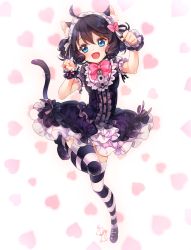 Rule 34 | 10s, 1girl, :3, :d, ahoge, animal ears, bad id, bad pixiv id, black dress, black footwear, black hair, black thighhighs, blue eyes, bow, bowtie, cat ears, cat tail, cyan (show by rock!!), dress, fangs, frilled dress, frills, full body, hair bow, headdress, heart, heart background, looking at viewer, mary janes, nail polish, open mouth, paw pose, pink bow, pink bowtie, puffy short sleeves, puffy sleeves, red nails, ringlets, shimogu, shoes, short sleeves, show by rock!!, smile, solo, sparkle, striped clothes, striped thighhighs, tail, thighhighs, white thighhighs, wrist cuffs