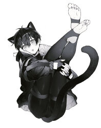 Rule 34 | 1boy, animal ear fluff, animal ears, blue lock, cameltoe, cat boy, cat ears, cat tail, commentary request, covered anus, fingerless gloves, full body, futanari, gloves, greyscale, haiiro (frabilovelove), highres, holding own leg, hugging own legs, isagi yoichi, jacket, leggings, legs up, looking at viewer, male focus, male futanari, monochrome, open mouth, shiny clothes, short hair, soles, solo, tail, thigh strap, tight clothes, toes, trap, white background