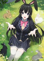Rule 34 | 1girl, animal ears, beckoning, black hair, black jacket, blazer, blue eyes, bow, bowtie, brown cardigan, cardigan, double-parted bangs, fake animal ears, grey skirt, hair ornament, hairclip, highres, hina (yys8487), jacket, long hair, looking at viewer, miniskirt, nijisanji, on grass, outstretched arms, pink bow, pink bowtie, plaid, plaid skirt, pleated skirt, rabbit, rabbit ears, reaching, reaching towards viewer, school uniform, shirt, sitting, skirt, solo, thighhighs, tsukino mito, tsukino mito (1st costume), virtual youtuber, white shirt, white thighhighs, zettai ryouiki
