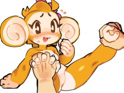 Rule 34 | 1boy, 1girl, black eyes, blush, bright pupils, brown fur, brown hair, colorized, flower, flying sweatdrops, furry, furry female, furry with non-furry, hair flower, hair ornament, holding hands, interlocked fingers, interspecies, male hand, meemee (super monkey ball), monkey girl, no pussy, open mouth, petite, prehensile feet, sega, simple background, super monkey ball, sweatdrop, third-party edit, wamudraws, white background, white pupils