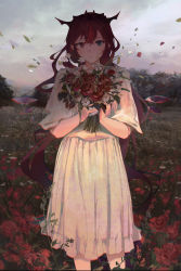 Rule 34 | 1girl, blue eyes, bouquet, closed mouth, cloud, cloudy sky, day, dress, feet out of frame, field, flower, flower field, highres, holding, holding bouquet, hololive, hololive english, horns, irys (hololive), jushoro, long hair, looking at viewer, outdoors, petals, purple eyes, red flower, red hair, red rose, rose, short sleeves, sky, solo, standing, very long hair, virtual youtuber, white flower