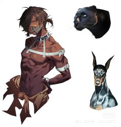 Rule 34 | 1boy, arknights, black panther, brown eyes, brown hair, collar, commentary request, dabaijiang memeda, dark skin, dog, head tilt, highres, male focus, muscular, panther, ponytail, short hair, spiked collar, spikes, thorns (arknights), topless male, upper body