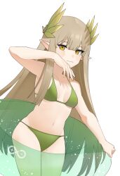Rule 34 | 1girl, absurdres, arknights, bare arms, bare shoulders, bikini, breasts, brown hair, closed mouth, collarbone, green bikini, highres, infinity symbol, innertube, mole, mole under eye, muelsyse (arknights), pointy ears, simple background, small breasts, smile, soda (sod4), solo, standing, swim ring, swimsuit, transparent, white background, yellow eyes