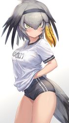 Rule 34 | 1girl, bird tail, black hair, blonde hair, blouse, blush, breasts, commentary request, cowboy shot, film grain, from side, green eyes, grey hair, guchico, gym uniform, hair between eyes, hair intakes, hairband, hand under clothes, head wings, kemono friends, large breasts, looking at viewer, medium breasts, multicolored hair, shirt, shoebill (kemono friends), short hair, short sleeves, simple background, solo, standing, tail, thighs, white background, white shirt, wings