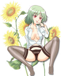 Rule 34 | 1girl, :p, adjusting hair, black panties, black thighhighs, breasts, breasts apart, cleavage, dress shirt, female focus, flower, garter belt, green hair, hand to own mouth, highres, kairakuen umenoka, kazami yuuka, lace, lace-trimmed legwear, lace-trimmed panties, lace trim, no bra, no pants, open clothes, open shirt, panties, red eyes, shirt, short hair, sitting, solo, spread legs, sunflower, thighhighs, tongue, tongue out, touhou, unbuttoned, underwear