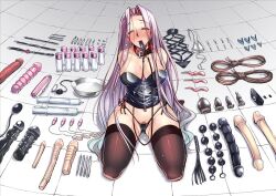 Rule 34 | anal beads, arms behind back, ayano naoto, ball gag, bit gag, blush, butt plug, clamps, collar, corset, dildo, double ended dildo, enema pump, fate/stay night, fate (series), furrowed brow, gag, harness, leash, long hair, medusa (fate), medusa (rider) (fate), pubic hair, purple eyes, purple hair, rope, sex toy, thighhighs, too many, too many sex toys, vibrator