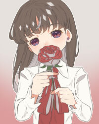 Rule 34 | 1girl, blunt bangs, blush, brown hair, child, commentary request, eyelashes, flower, gradient background, hands up, head tilt, highres, holding, holding flower, ib (ib), ib (kouri), long hair, long sleeves, looking at viewer, neck ribbon, pink background, red eyes, red flower, red ribbon, red rose, ribbon, rose, shirt, simple background, solo, taku hanamiyap, upper body, white background, white shirt