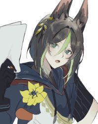 Rule 34 | 1boy, animal ear fluff, animal ears, arm up, azu zubi, black gloves, black hair, black shirt, blunt ends, blush, commentary request, drawstring, earrings, eyelashes, flower, fox boy, fox ears, genshin impact, gloves, green eyes, green hair, hair between eyes, head tilt, highres, holding, holding paper, hood, hood down, hoodie, jewelry, looking at viewer, male focus, multicolored clothes, multicolored hair, open mouth, paper, shirt, short hair, sidelocks, single earring, solo, tighnari (genshin impact), turtleneck, two-tone hair, upper body, white background, wrist cuffs, yellow flower