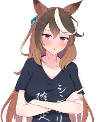 Rule 34 | 1girl, absurdres, alternate costume, animal ears, blush, breasts, brown hair, chestnut mouth, collarbone, commentary request, crossed arms, hair between eyes, highres, himuraanzu, horse ears, horse girl, long hair, looking at viewer, medium breasts, multicolored hair, print shirt, purple eyes, shirt, solo, streaked hair, symboli rudolf (umamusume), textless version, translation request, umamusume, upper body, white background, white hair