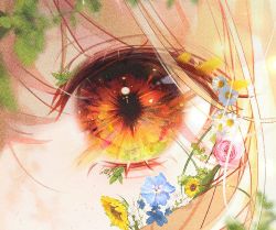 Rule 34 | 1girl, 58 (opal 00 58), blonde hair, blue flower, blurry, close-up, commentary, english commentary, eye focus, flower, highres, leaf, looking at viewer, orange eyes, original, pink flower, pink rose, rose, solo, sunflower