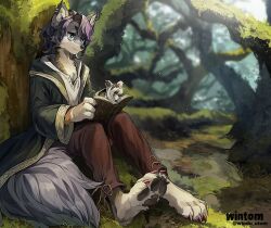 Rule 34 | 1boy, animal ears, animal nose, artist name, book, commentary, commentary request, commission, english commentary, furry, furry male, male focus, mixed-language commentary, on ground, original, outdoors, scenery, sitting, solo, tail, two-tone fur, wintom, wolf boy