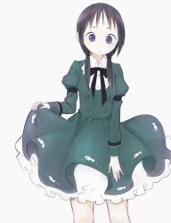 Rule 34 | 1girl, :/, absurdres, adapted costume, black bow, black bowtie, black hair, bow, bowtie, buttons, cheshikk, chito (shoujo shuumatsu ryokou), closed mouth, collared dress, commentary, dress, feet out of frame, frilled dress, frills, green dress, hair over shoulder, highres, juliet sleeves, layered dress, lolita fashion, long hair, long sleeves, looking at viewer, low twintails, puffy sleeves, purple eyes, raised eyebrows, short eyebrows, shoujo shuumatsu ryokou, simple background, skirt hold, sleeve cuffs, sleeve garter, solo, symbol-only commentary, twintails, white background