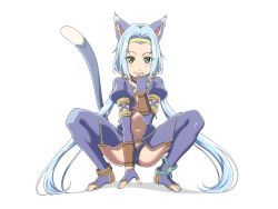 Rule 34 | 1girl, animal ears, blue hair, blush stickers, cat ears, cat tail, feet, fingerless gloves, full body, gloves, green eyes, hands on feet, kaien advance, long hair, looking at viewer, low twintails, meracle chamlotte, navel, simple background, smile, solo, star ocean, star ocean the last hope, tail, thighhighs, twintails, underwear, white background