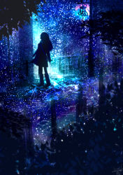 Rule 34 | 1girl, amatsuki rei, bag, blurry, boots, commentary request, dress, highres, light particles, long hair, night, night sky, original, outdoors, plant, puddle, reflection, scarf, scenery, shoulder bag, silhouette, sky, solo, standing, star (sky), starry sky