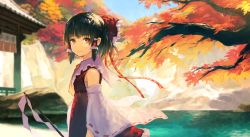 Rule 34 | 1girl, autumn leaves, black hair, bow, closed mouth, commentary request, day, detached sleeves, gohei, hair bow, hair ribbon, hakurei reimu, kitsune (kazenouta), looking at viewer, outdoors, red bow, red eyes, red ribbon, red skirt, ribbon, ribbon-trimmed sleeves, ribbon trim, sarashi, shide, side ponytail, skirt, skirt set, smile, solo, touhou, vest, water