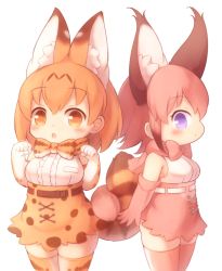 Rule 34 | 2girls, animal ear fluff, animal ears, arms at sides, bare shoulders, belt, black belt, blonde hair, blush, bow, bowtie, breast pocket, breasts, caracal (kemono friends), commentary, elbow gloves, extra ears, frills, gloves, high-waist skirt, intertwined tails, kemono friends, large ears, matsuu (akiomoi), multiple girls, open mouth, pocket, print legwear, print neckwear, print skirt, red hair, red neckwear, serval (kemono friends), serval print, serval tail, shirt, short hair, sideboob, simple background, skirt, sleeveless, sleeveless shirt, standing, tail, tareme, thighhighs, traditional bowtie, white background, white belt, yellow eyes, yellow neckwear, aged down, zettai ryouiki