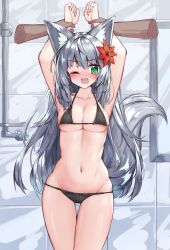 Rule 34 | !?, 1girl, animal ear fluff, animal ears, arms up, bad id, bad pixiv id, bikini, black bikini, blush, breasts, cameltoe, cleavage, collarbone, flower, fox ears, fox girl, fox tail, green eyes, hair flower, hair ornament, highres, holding another&#039;s wrist, large breasts, long hair, navel, nose blush, one eye closed, open mouth, original, red flower, silver hair, solo focus, standing, stomach, swimsuit, tail, tandohark, tears, thigh grab, tile wall, tiles, trembling, very long hair