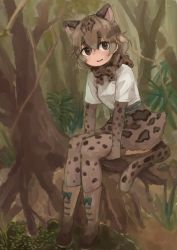 Rule 34 | 10s, 1girl, animal ears, animal print, belt, boots, bow, bowtie, branch, brown eyes, brown hair, cat ears, cat tail, cross-laced footwear, elbow gloves, foliage, footwear bow, full body, gloves, high-waist skirt, kemono friends, lace-up boots, marbled cat (kemono friends), multicolored hair, plant roots, rumenia (ao2is), shoes, short hair, short sleeves, sitting, sitting on hand, skirt, solo, tail, thighhighs, tree