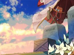 Rule 34 | flower, grave, hat, heri (azame), jewelry, knife, long coat, necklace, no humans, one piece, scenery, sky, spoilers, still life, tombstone