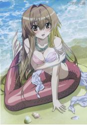 Rule 34 | 00s, 1girl, absurdres, beach, bikini, bikini top only, breast hold, breasts squeezed together, breasts, cleavage, crease, day, highres, medium breasts, megami magazine, mermaid, monster girl, morita kazuaki, official art, scan, seto no hanayome, seto sun, solo, swimsuit, twisted breasts, wardrobe malfunction, water, wet