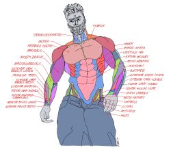 Rule 34 | 1boy, abs, anatomy, beard, biceps, contrapposto, cowboy shot, diagram, english text, artistic error, facial hair, facing viewer, gigachad (meme), highres, latin text, male focus, manly, mature male, meme, muscular, muscular male, obliques, open fly, original, pants, pectorals, pikat, short hair, sketch, solo, text focus, thick eyebrows, twitter username, wall of text