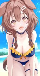Rule 34 | 1girl, @ @, absurdres, animal collar, animal ears, bikini, blue bikini, blush, bone hair ornament, braid, breasts, brown hair, brown tail, collar, dog ears, dog girl, dog tail, fangs, frilled bikini, frills, hair ornament, highres, hololive, inugami korone, kudoukudokudo, large breasts, long hair, looking at viewer, low twin braids, navel, open mouth, outdoors, solo, swimsuit, tail, thigh strap, tongue, tongue out, twin braids, virtual youtuber