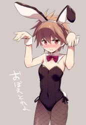 Rule 34 | 1girl, angry, animal ears, black leotard, black pantyhose, bow, bowtie, breasts, brown hair, collar, commentary, covered navel, cowboy shot, detached collar, eguchi sera, embarrassed, fake animal ears, fake tail, fishnet pantyhose, fishnets, frown, grey background, leotard, looking at another, nail polish, odawara hakone, open mouth, pantyhose, playboy bunny, purple nails, rabbit ears, rabbit pose, rabbit tail, red eyes, saki, saki (manga), saki achiga-hen, short hair, side-tie leotard, simple background, small breasts, solo, standing, sweatdrop, tail, v-shaped eyebrows, white collar, wrist cuffs