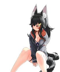 Rule 34 | 1girl, animal collar, animal ears, arms between legs, bikini, bikini under clothes, black collar, black hair, black hoodie, blush, breasts, brown eyes, cleavage, collar, embarrassed, feet out of frame, hair between eyes, hair ornament, hairclip, highres, hololive, hood, hoodie, large breasts, long hair, looking away, looking to the side, low-tied long hair, multicolored hair, ookami mio, ookami mio (hololive summer 2019), partially unzipped, red hair, sidelocks, sideways glance, simple background, sitting, skindentation, solo, streaked hair, swimsuit, tail, thigh strap, very long hair, virtual youtuber, white background, wolf ears, wolf girl, wolf tail, xiaodong327399